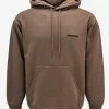 Balenciaga Beige Logo Regular Fit Hoodie Clothing