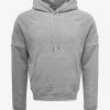 Saint Laurent Clothing Grey Logo Embroidery Hoodie